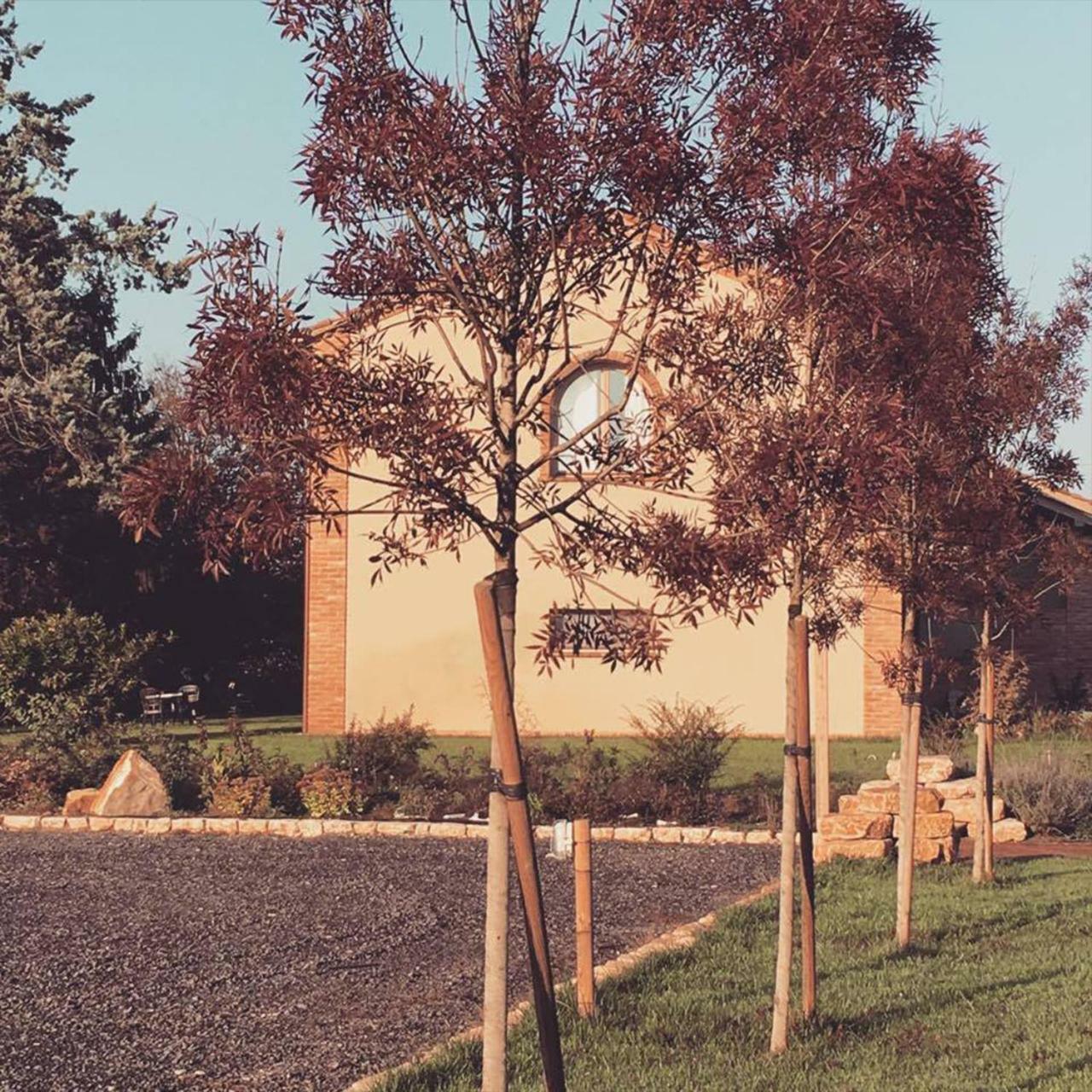 Agriturismo Bassanine Monticelli dʼOngina Exteriör bild